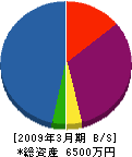 齋藤住設 貸借対照表 2009年3月期