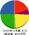 下平工務店 貸借対照表 2009年12月期