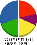 武田組 貸借対照表 2011年6月期
