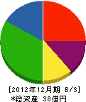 岩本組 貸借対照表 2012年12月期