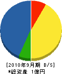 松瀬組 貸借対照表 2010年9月期