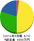 松竹園 貸借対照表 2012年9月期
