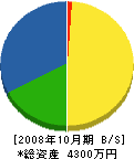 吉井舗道 貸借対照表 2008年10月期
