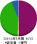 平江建設 貸借対照表 2012年5月期