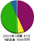 竹林堂糸沢 貸借対照表 2012年1月期