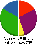 小林塗装工業 貸借対照表 2011年12月期