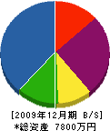 長谷川畳店 貸借対照表 2009年12月期