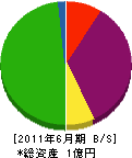 藤井建設 貸借対照表 2011年6月期