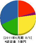 奈良シールド工業 貸借対照表 2011年6月期