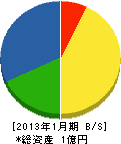 田島 貸借対照表 2013年1月期