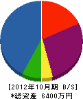 神谷電気商会 貸借対照表 2012年10月期