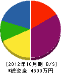 新湊土木 貸借対照表 2012年10月期