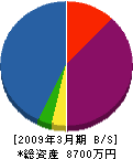 リフレッシュ浜名湖 貸借対照表 2009年3月期 リフレッシュ浜名湖 貸借対照表 2009年3月期