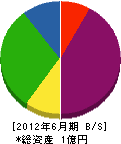 沖田鉄工 貸借対照表 2012年6月期