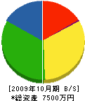 森澤産業 貸借対照表 2009年10月期