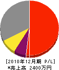 平沢電気商会 損益計算書 2010年12月期