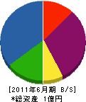 小松建設 貸借対照表 2011年6月期