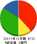宝来社石川 貸借対照表 2011年12月期