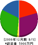 錦工務店 貸借対照表 2008年12月期
