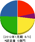 大川鉄工所 貸借対照表 2012年1月期