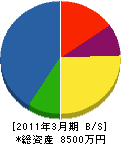 松尾農材 貸借対照表 2011年3月期