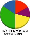 岩澤組 貸借対照表 2011年12月期