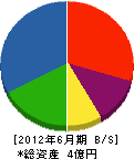 津幡工業 貸借対照表 2012年6月期
