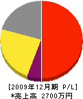 高田塗装店 損益計算書 2009年12月期