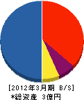 新宅工務店大阪 貸借対照表 2012年3月期