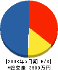 ヤマコー 貸借対照表 2008年5月期