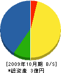 稲亀緑花 貸借対照表 2009年10月期