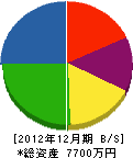 松本建設 貸借対照表 2012年12月期