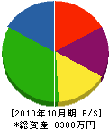 システム久保田 貸借対照表 2010年10月期