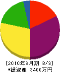 向江建設 貸借対照表 2010年6月期