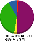 愛和産業 貸借対照表 2009年12月期