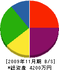 小野庭園 貸借対照表 2009年11月期