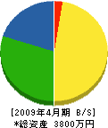 藤沢組 貸借対照表 2009年4月期