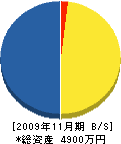 白鳳建設 貸借対照表 2009年11月期