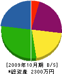 小林塗装店 貸借対照表 2009年10月期