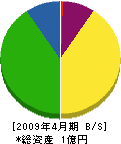 辻本土木工業 貸借対照表 2009年4月期
