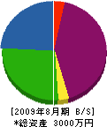 金山電設 貸借対照表 2009年8月期 金山電設 貸借対照表 2009年8月期
