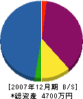 島米塗装店 貸借対照表 2007年12月期