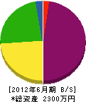 横山土木 貸借対照表 2012年6月期