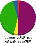 宝美園 貸借対照表 2009年12月期