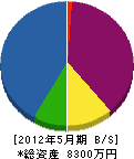 松崎建設 貸借対照表 2012年5月期