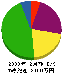 天野電気商会 貸借対照表 2009年12月期