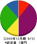 堀江建材 貸借対照表 2008年12月期