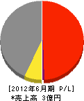 松本産業 損益計算書 2012年6月期