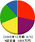加藤塗装 貸借対照表 2009年12月期