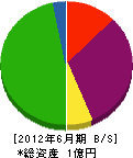 藤井建設 貸借対照表 2012年6月期